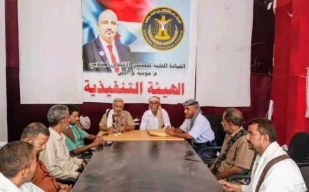 تنفيذية انتقالي مودية تناقش جملة من القضايا الحيوية المتعلقة بالمديرية