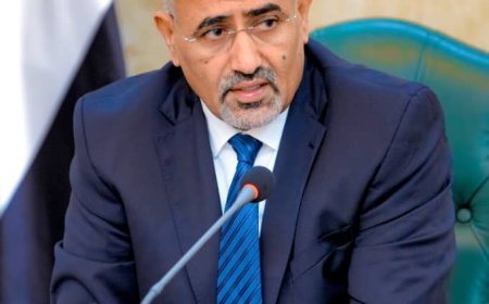 اللجنة العليا للموارد السيادية والمحلية تبحث الوضع الاقتصادي والتدابير اللازمة لتفعيل المؤسسات الإيرادية