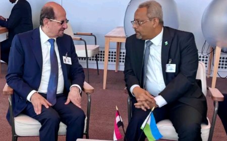 وزير الخارجية يبحث مع نظيره الجيبوتي آفاق تطوير التعاون المشترك