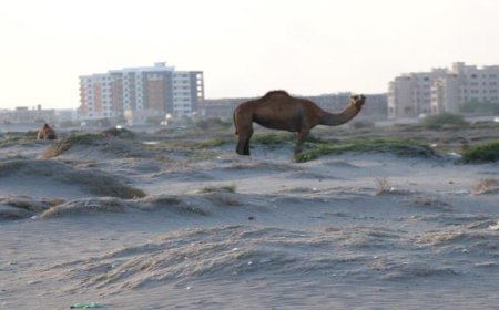 تغير المناخ الخطر الصامت الذي يهدد الأرض والجنوب