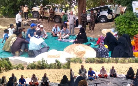 لقاء تقييمي بتعز يستعرض الأثر الإيجابي لمدارس المزارعين الحقلية في تعزيز الإنتاج الحيواني