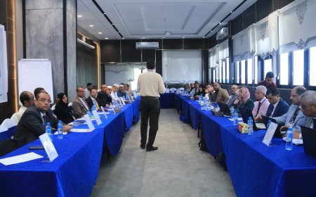 وزارة التعليم العالي تدشن ورشة تدريبية لضباط الارتباط بالجامعات اليمنية استعدادًا للتصنيف الوطني 2025 