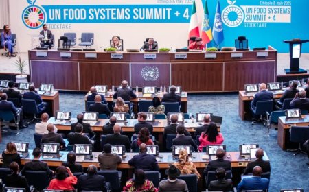 الوزير السقطري يشارك في الجلسات الحوارية بمؤتمر الأمم المتحدة للنظم الغذائية