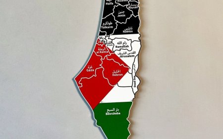 15 دولة توجه نداء جماعياً تعتزم فيه الاعتراف بدولة #فلسطين