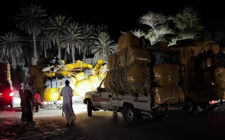 شباب حضرموت يطلقون دعوات لمقاطعة القات بدءا من السبت