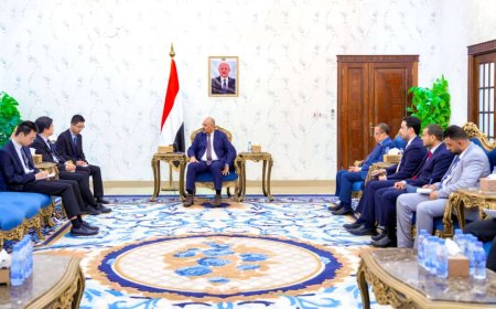 الرئيس الزُبيدي يؤكد حاجة بلادنا إلى الخبرات الصينية لإعادة تأهيل قطاع الكهرباء