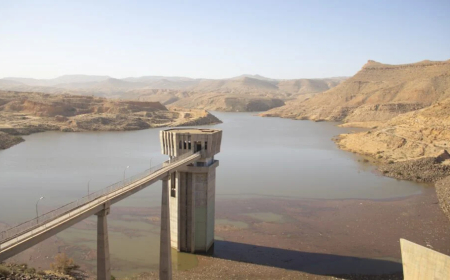 تداعيات خفض التمويلات الدولية على مشروعات المياه بالدول العربية