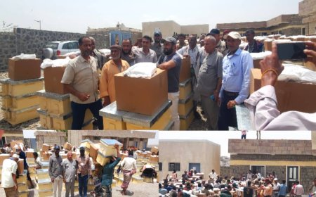 اختتام دورة تدريبية في تربية النحل بمديرية موزع بتعز