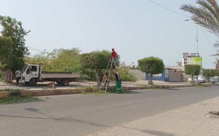 صندوق النظافة والتحسين يواصل حملات قص الأشجار وتشكيلها في البريقة