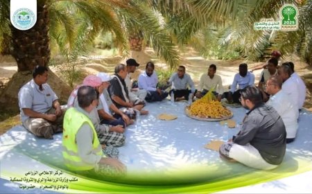 زيارة ميدانية لمدير عام الزراعة إلى مزرعة النخيل النموذجية بسيئون ضمن فعاليات مهرجان النخيل والتمور