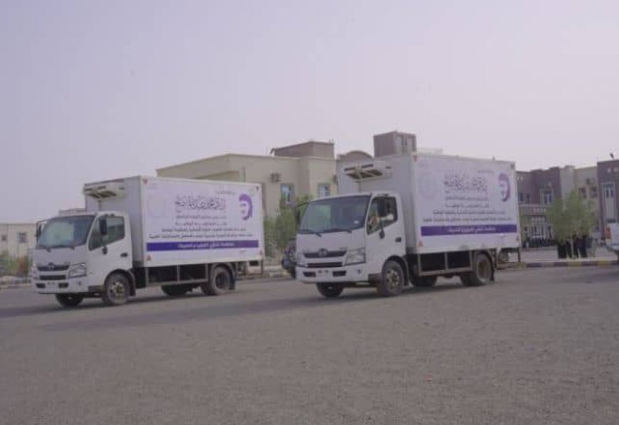 تعز.. برعاية طارق صالح دعم طبي جديد لمواجهة الكوليرا والحُميات في ذو باب المندب