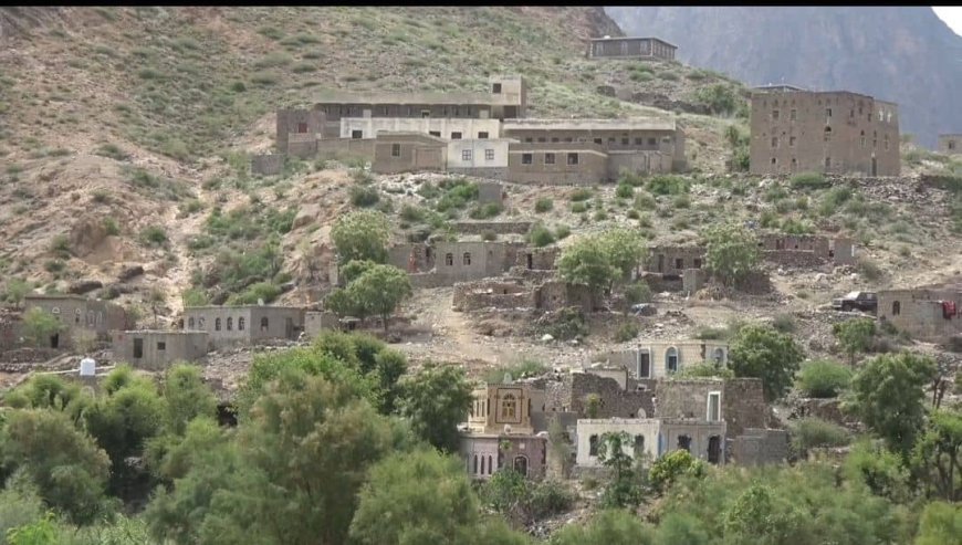 فاجعة تهز تورصة بمديرية الأزارق: طفلة تفارق الحياة على إثر عضة كلب مسعور