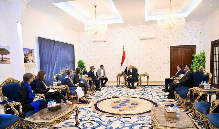 العليمي يدعو الاتحاد الأوروبي إلى اتخاذ قرارات عاجلة لتصنيف الحوثي منظمة إرهابية