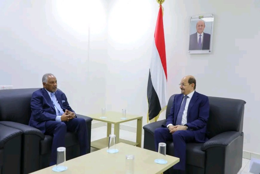 وزير الخارجية يبحث مع السفير السوداني تعزيز التعاون الثنائي