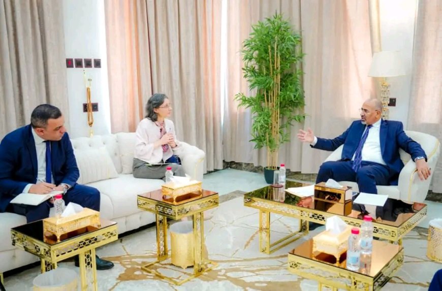 الرئيس الزُبيدي يبحث مع سفيرة فرنسا تطورات المشهد السياسي والاقتصادي في البلاد