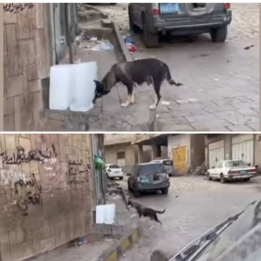 الكشف عن كارثة خطيرة في محافظة تعز