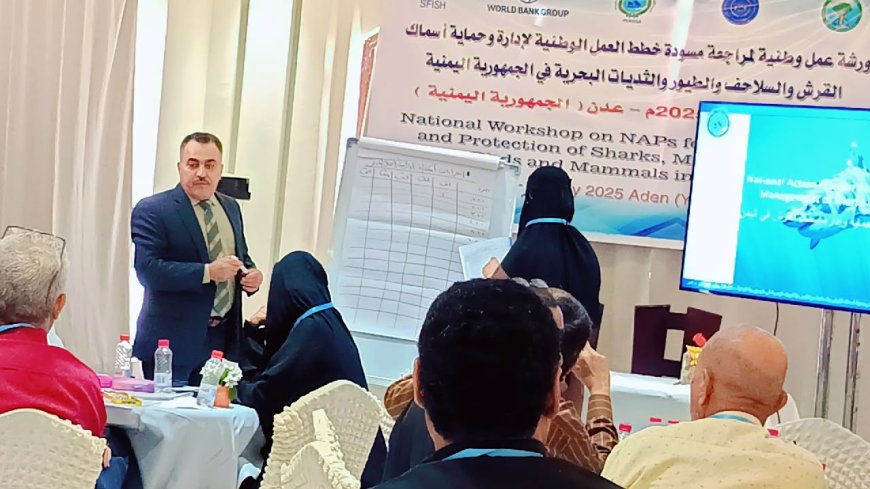 اليوم الثاني على التوالي: ورشة العمل الوطنية لمراجعة خطط العمل الوطنية لإدارة وحماية أسماك القرش والسلاحف الثديات البحرية.