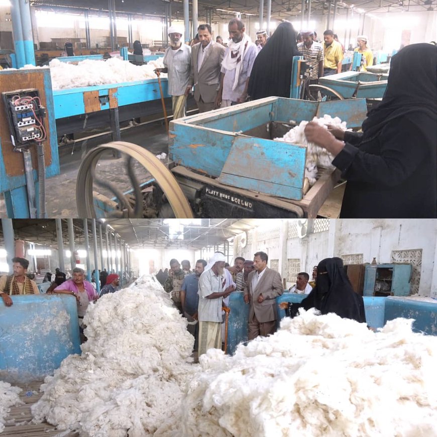 محافظ أبين يدشن عملية حلج القطن طويل التيلة بمحلج القطن بالكود