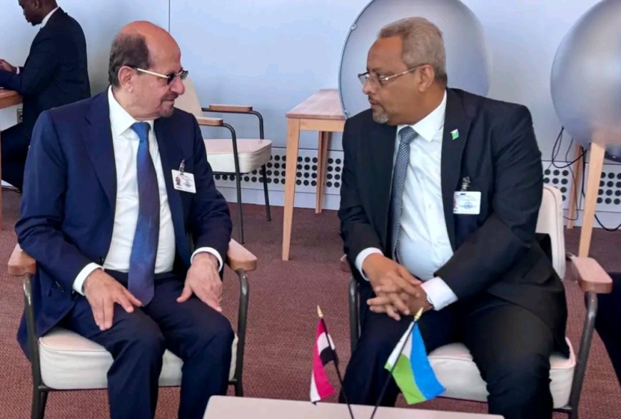 وزير الخارجية يبحث مع نظيره الجيبوتي آفاق تطوير التعاون المشترك
