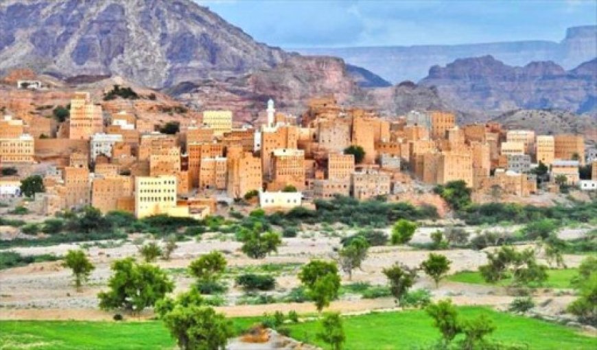 مسلحون مجهولون يغتالون نجل شقيق محافظ شبوة الأسبق وسط سوق حبان