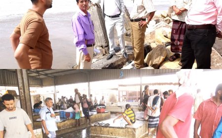 محافظ أبين يتفقد سير العمل في مركز خدمات تسويق  الأسماك في العاصمة زنجبار
