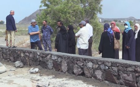 عدن.. اعتداء على أرضية كلية الطب بجامعة عدن يثير غضب الأساتذة والأطباء