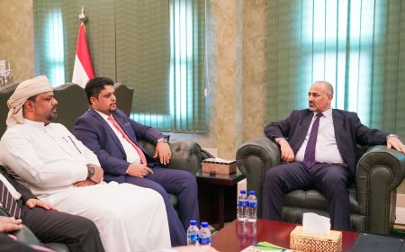 الرئيس الزُبيدي يطّلع على جهود قيادة جامعة المهرة في تطوير التعليم الأكاديمي بالمحافظة