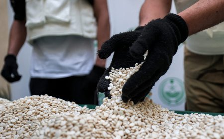 لحوثيون يقتحمون تجارة المخدرات