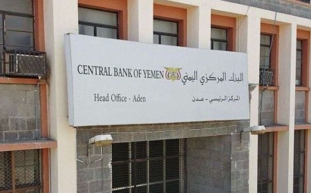 عاجل | البنك المركزي يكلف مكافحة الإرهاب بإغلاق 60 شركة صرافة مخالفة ومصادرة سيرفراتها