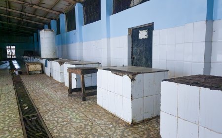 بتوجيهات من محافظ محافظة أبين.. صندوق النظافة يواصل حملة تنظيف سوق الأسماك بزنجبار لليوم الرابع على التوالي