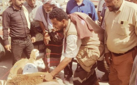 مدير عام م عتق يزور سوق الماشية لمتابعة انخفاض الأسعار