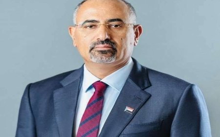 الرئيس الزُبيدي يوجّه بحماية المحتجين السلميين في وادي حضرموت