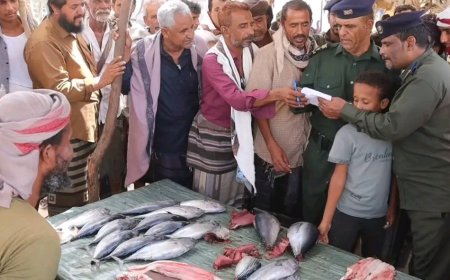 انتقالي المحفد والسلطة المحلية يواصلان نزولهما على أسواق المحال التجارية والخضار والأسماك لضبط أسعارها بالمديرية