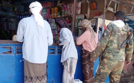 بتوجيهات مدير عام ميفعة.. استمرار النزول الميداني لأسواق المديرية لمراقبة أسعار المواد الغذائية