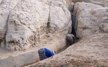 تنفيذية انتقالي المسيلة تنفذ مبادرة تنظيف معيان مياه منطقة بزون بوادي المسيلة