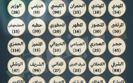 جيش السلالة.. ترقيات لعائلات هاشمية كاملة في الهيكل العسكري للحوثيين (تحقيق)