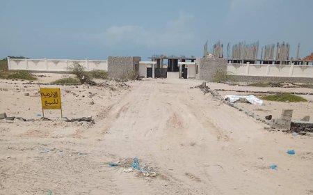 بتوجيهات مدير عام رضوم.. تدشين العمل رسمياً في شق وإزالة العوائق بالطريق المؤدي إلى مستشفى مدينة العين