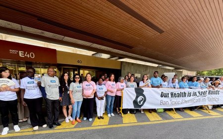 مسودة معاهدة البلاستيك تحت النار: منظمات تحذر من نص يهدد الجهود العالمية لمكافحة التلوث