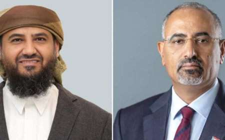 كهرباء أبين تستغيث: نداء عاجل للرئيس عيدروس الزبيدي وأبو زرعة المحرمي