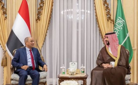 بن بريك.. تكنوقراطي وعرّاب الاصلاحات المالية( بروفايل)