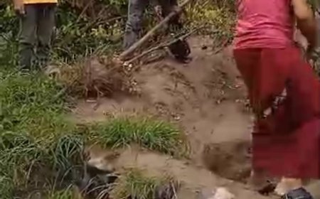 مواطن في مديرية يهر يقوم بقلع أشجار القات من مزارعه