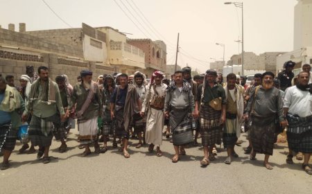 بمسند قبلي كبير آل حقيس يسندون لآل الميسري في عاصمة المحافظة زنجبار 