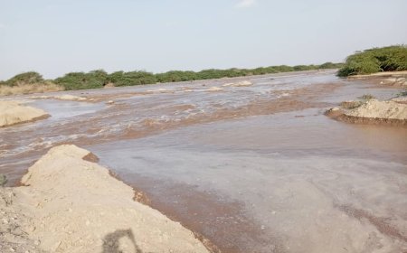 تحذير من سيول جارفة وأمطار غزيرة مساء اليوم الأحد