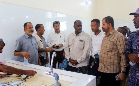 مدير عام بروم ميفع يفتتح سوق السمك في مدينة بروم