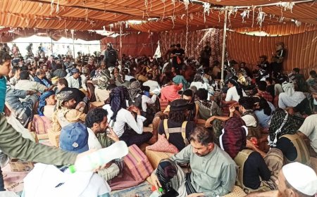 تحكيم قبلي من قبيلة المراقشة ينهي قضية تقطع لابناء الجرادمة- يافع بأبين