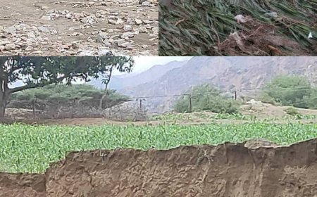 مؤسسة محلية تطلق نداء استغاثة لصالح اضرار طورالباحة.