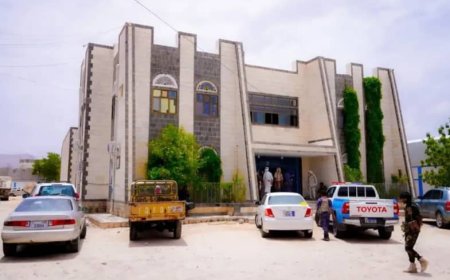 محافظ شبوة: تعبئة شاملة لمكافحة المخدرات وحماية شباب المحافظة