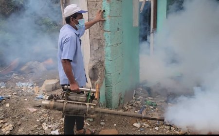 بتوجيهات " الداؤودي.".. تنفيذ  حملة الرش الضبابي والرذاذي في المنصورة بعدن