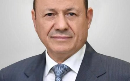 أولياء أمور الطلاب اليمنيين في مصر يناشدون رئيس مجلس القيادة الرئاسي الدكتور رشاد العليمي