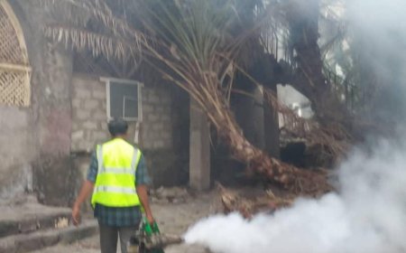 قسم صحة البيئة في صيرة يواصل حملة الرش الضبابي والرذاذي في أحياء المديرية